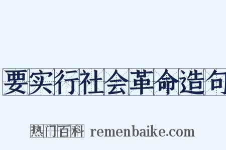 要实行社会革命造句是什么意思的图片